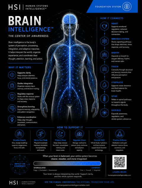 Brain gallery poster