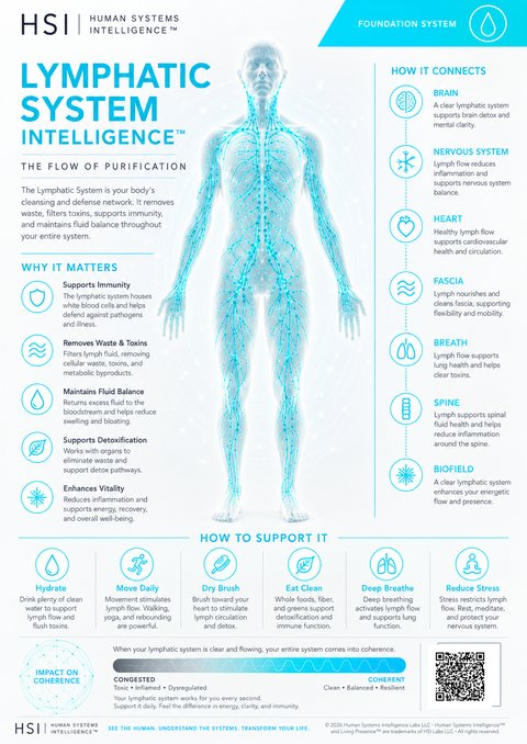 Lymphatic clinical poster