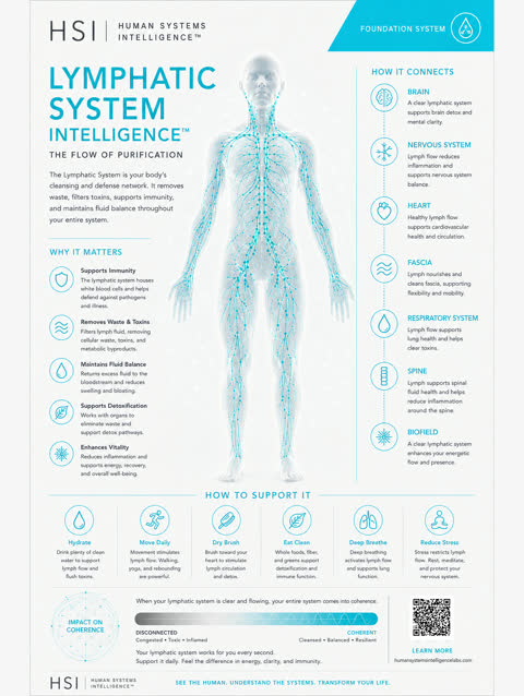 Lymphatic clinical poster