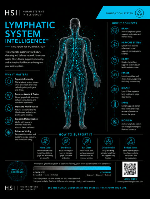 Lymphatic gallery poster