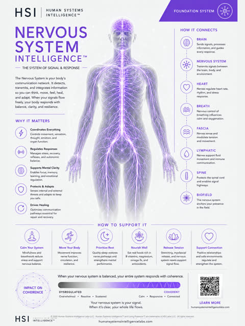 Nervous system clinical poster