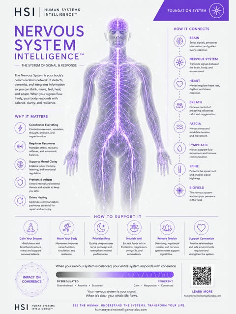 Nervous system clinical poster