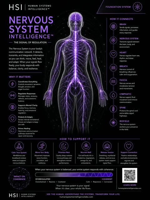 Nervous system gallery poster